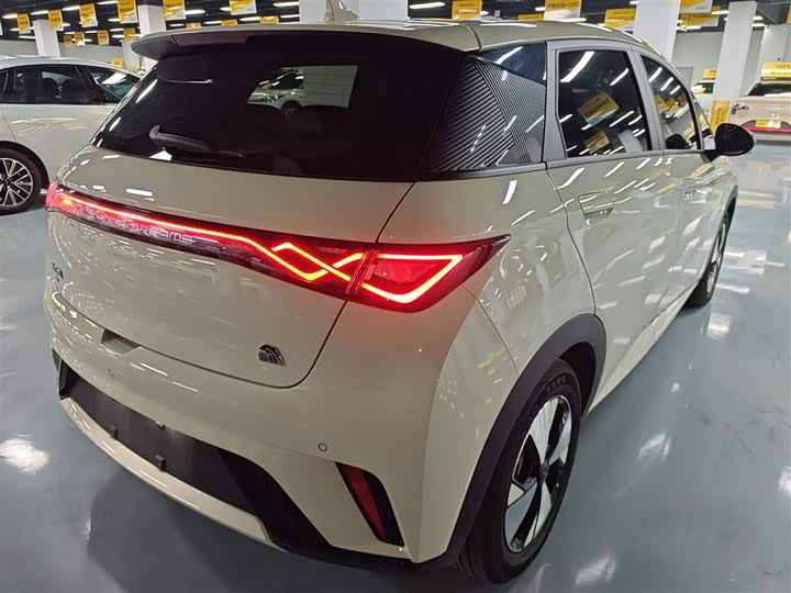 Фото 7 - BYD Dolphin