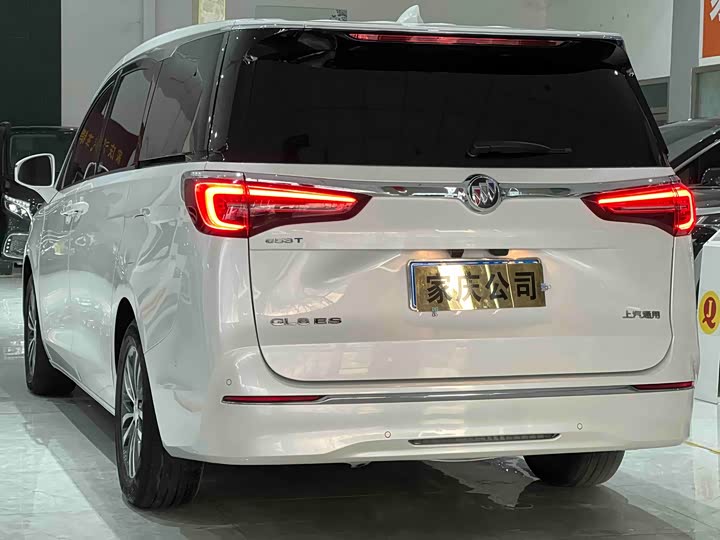 Фото 5 - Buick GL8 ES