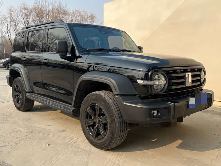 Фото 2 - Tank 300