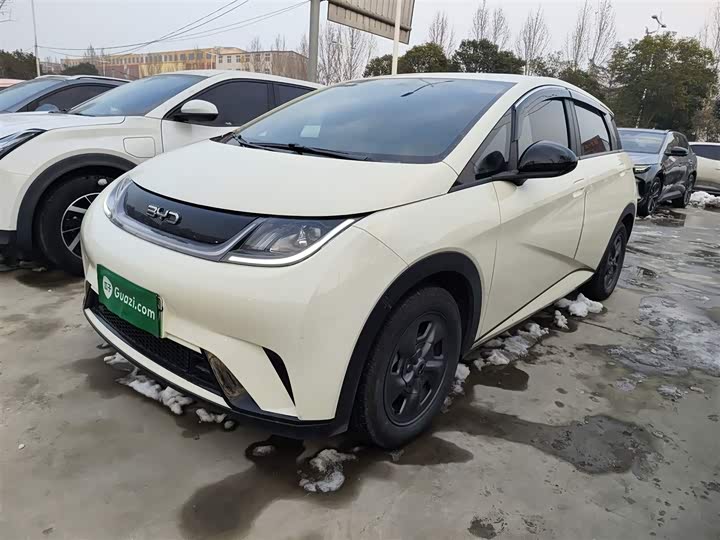 Фото 2 - BYD Dolphin