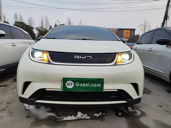 Фото 3 - BYD Dolphin