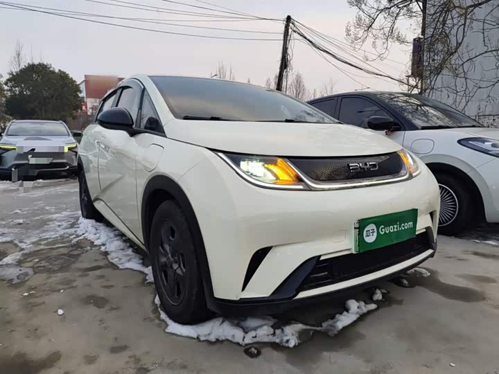 Фото 4 - BYD Dolphin