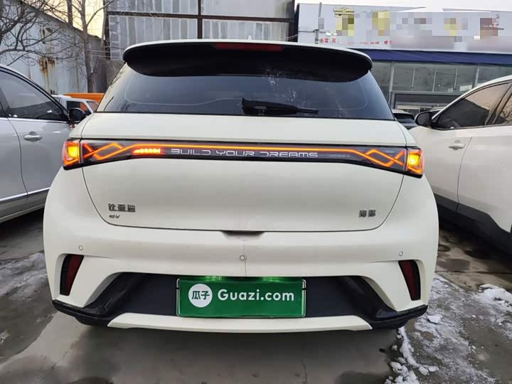 Фото 6 - BYD Dolphin