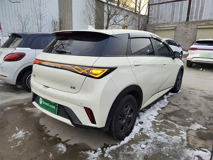 Фото 7 - BYD Dolphin