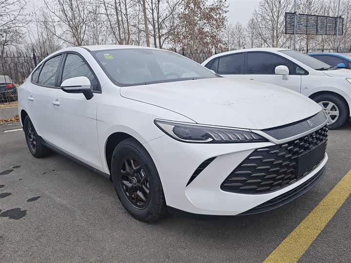 Фото 4 - BYD Qin Plus