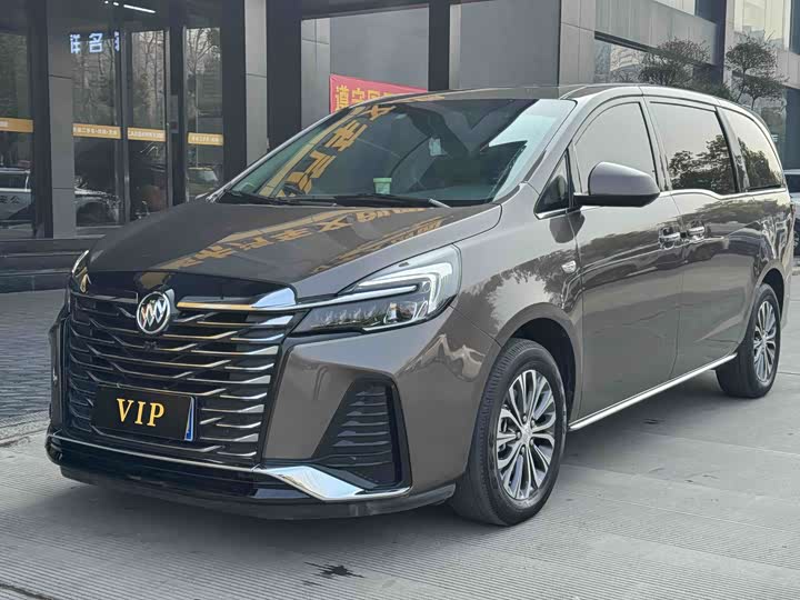 Фото 1 - Buick GL8 ES