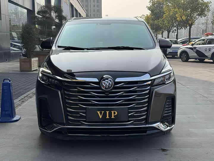 Фото 2 - Buick GL8 ES