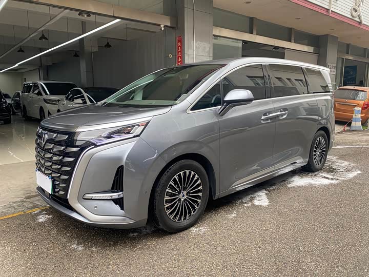 Фото 1 - Denza D9