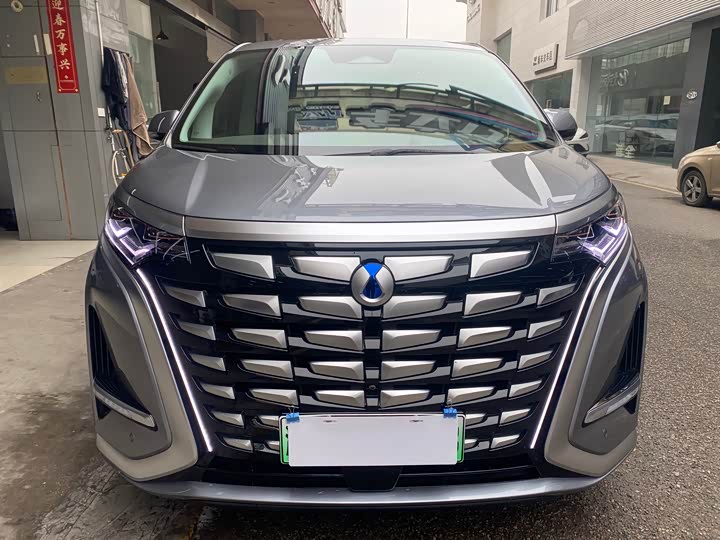 Фото 2 - Denza D9