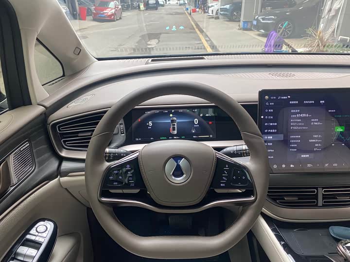 Фото 4 - Denza D9