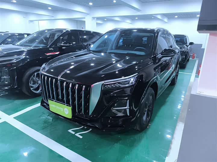 Фото 2 - Hongqi HS5