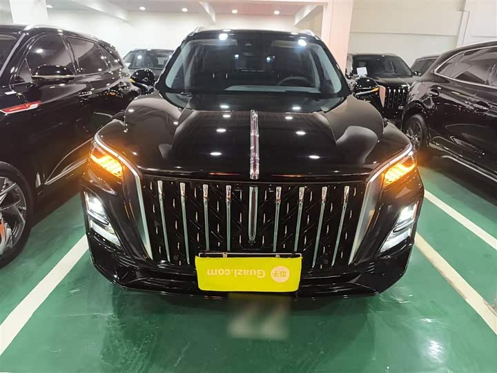 Фото 3 - Hongqi HS5