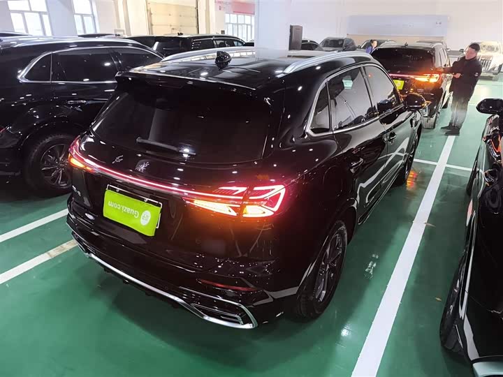 Фото 7 - Hongqi HS5