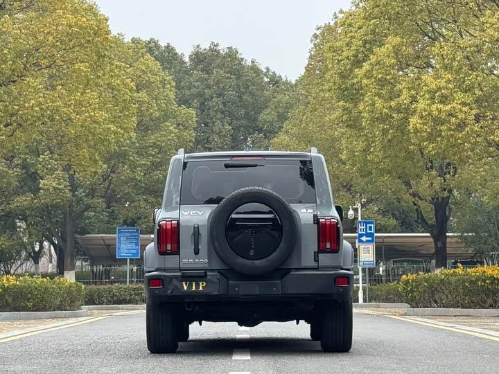 Фото 6 - Tank 300