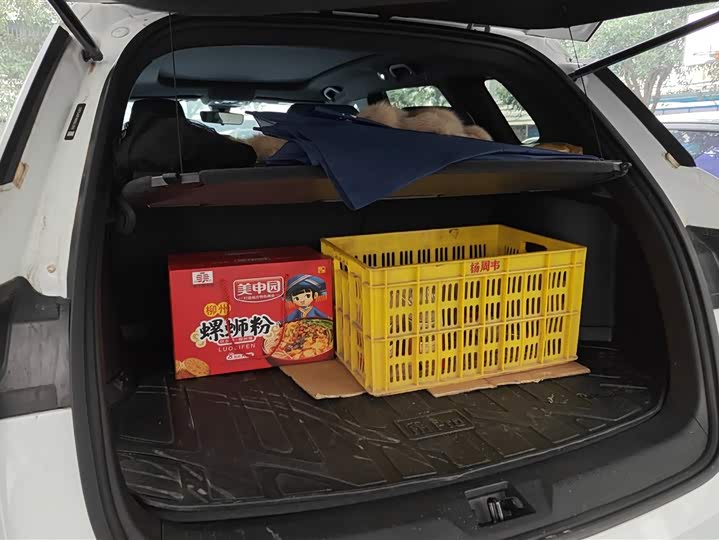 Фото 4 - BYD Song Pro