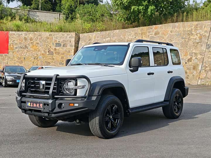 Фото 1 - Tank 300