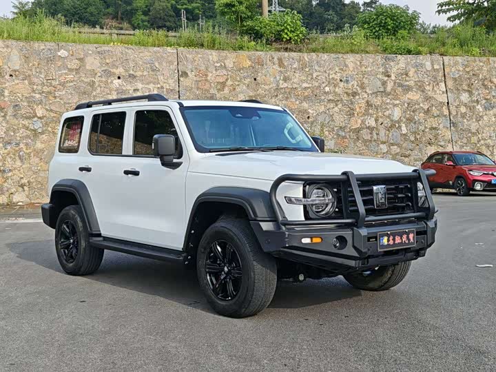 Фото 4 - Tank 300