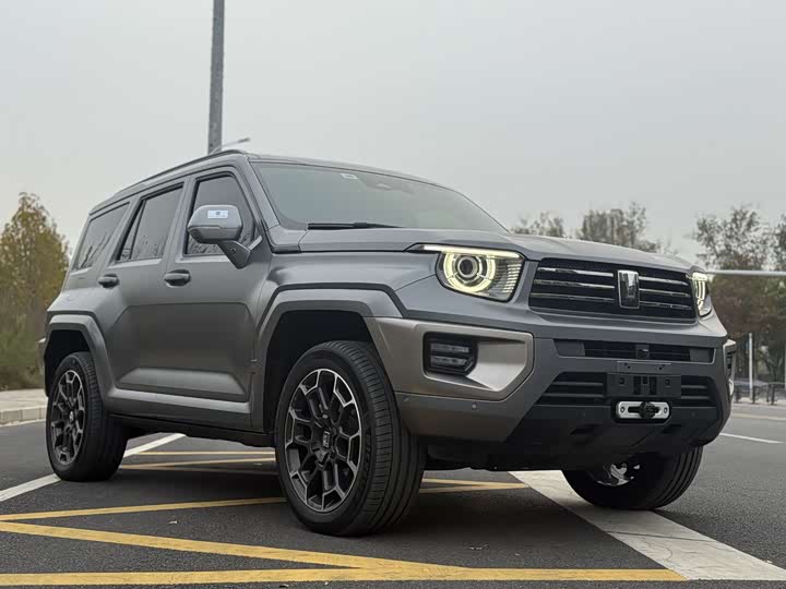 Фото 2 - Tank 700 Hybrid