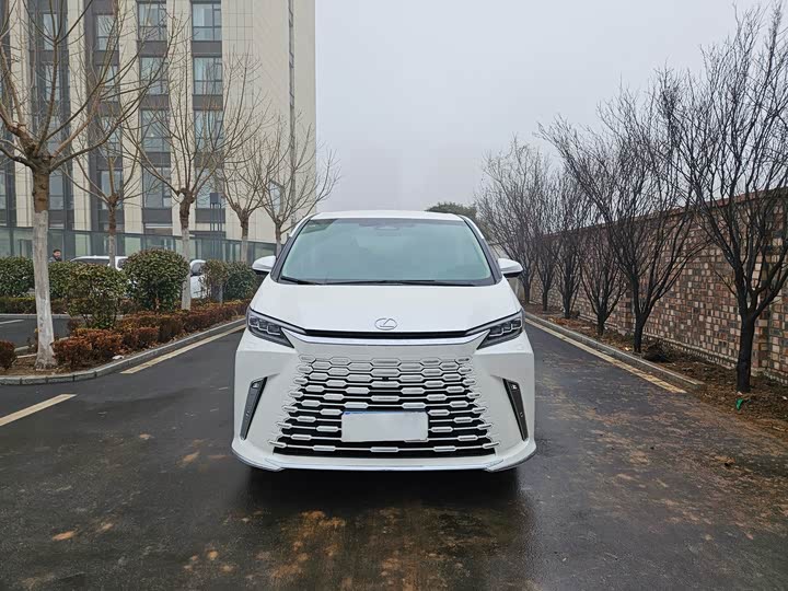 Фото 2 - Lexus LM