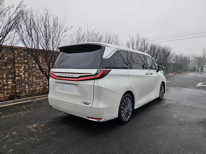 Фото 4 - Lexus LM