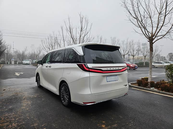Фото 6 - Lexus LM