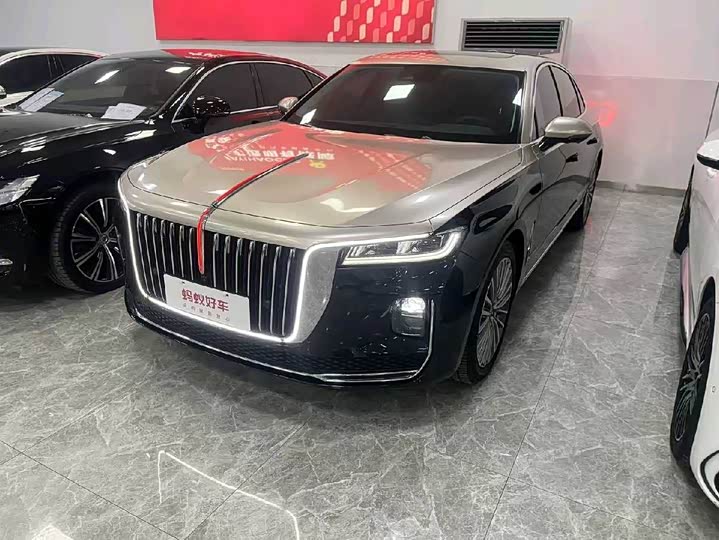 Фото 1 - Hongqi H9