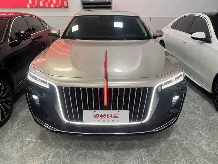 Фото 2 - Hongqi H9