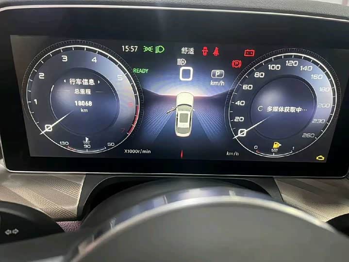 Фото 9 - Hongqi H9