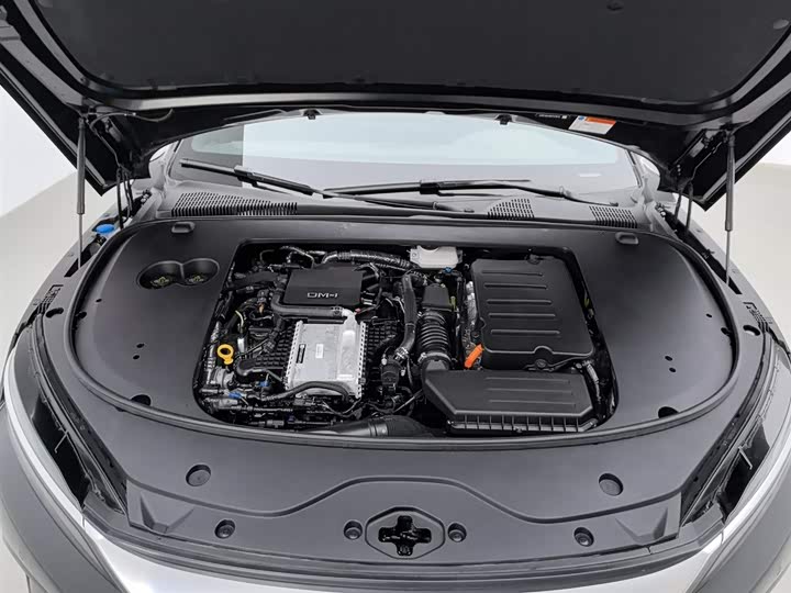 Фото 6 - BYD Han