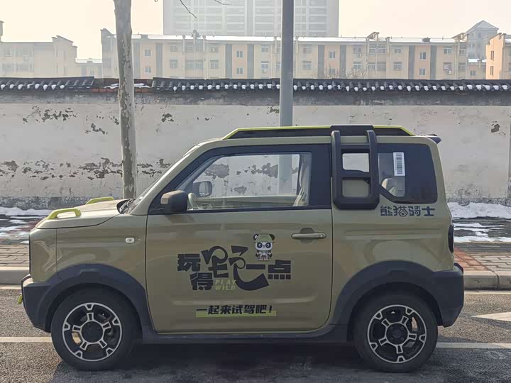 Фото 4 - Geely Galaxy Panda Mini