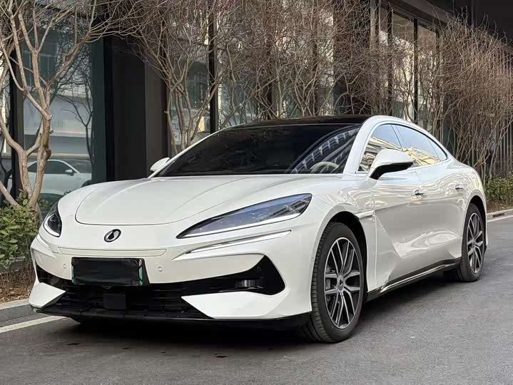 Фото 1 - Denza Z9