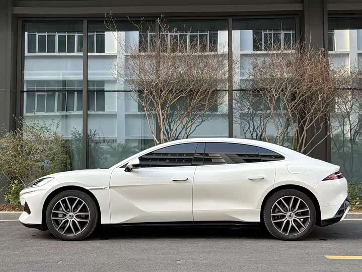 Фото 3 - Denza Z9