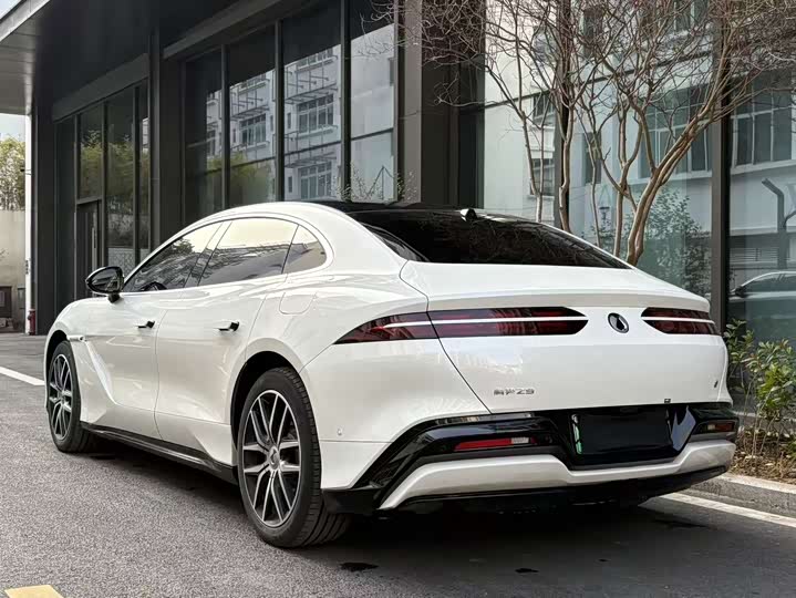 Фото 4 - Denza Z9