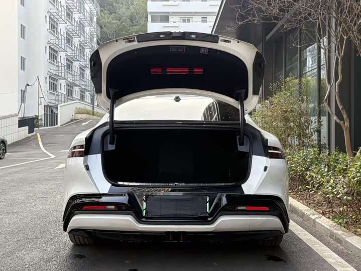 Фото 6 - Denza Z9