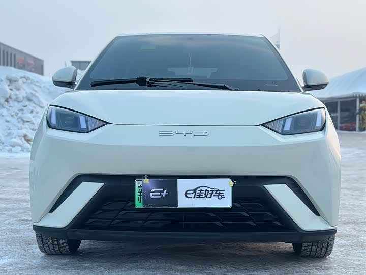 Фото 2 - BYD Seagull