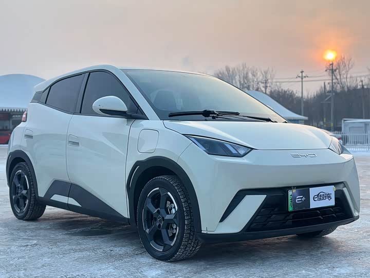 Фото 3 - BYD Seagull