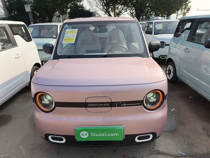 Фото 3 - Geely Galaxy Panda Mini