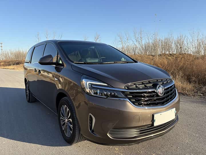 Фото 3 - Buick GL8 ES