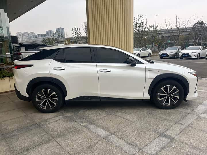 Фото 4 - Lexus RZ