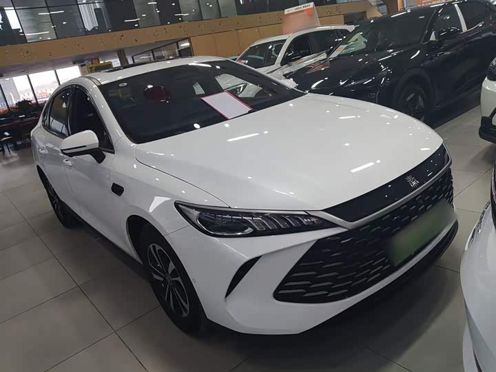 Фото 4 - BYD Qin Plus