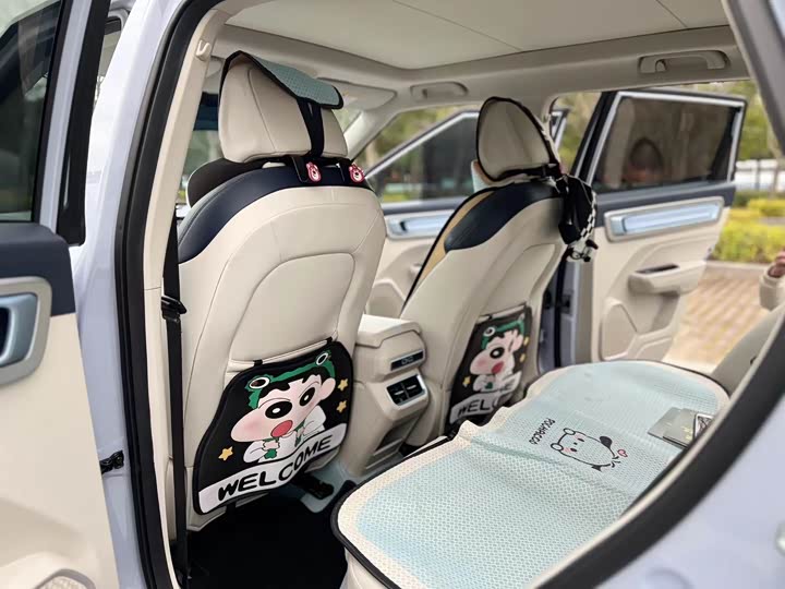 Фото 7 - Geely Icon