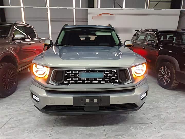 Фото 3 - Haval H-Dog Hybrid