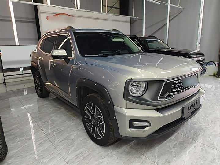 Фото 4 - Haval H-Dog Hybrid