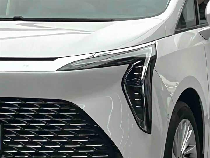 Фото 3 - Buick GL8 Century