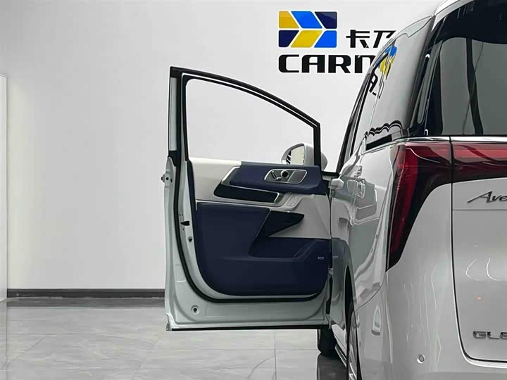 Фото 5 - Buick GL8 Century