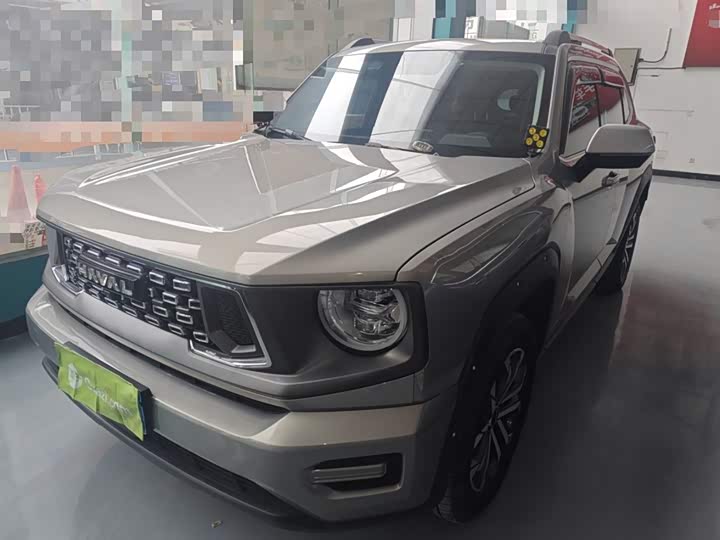 Фото 2 - Haval H-Dog