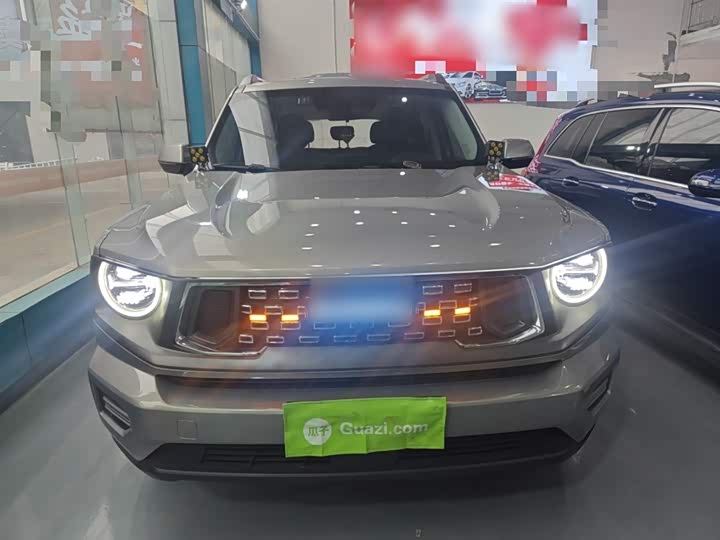 Фото 3 - Haval H-Dog