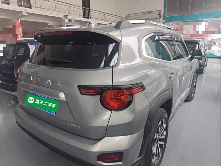 Фото 7 - Haval H-Dog