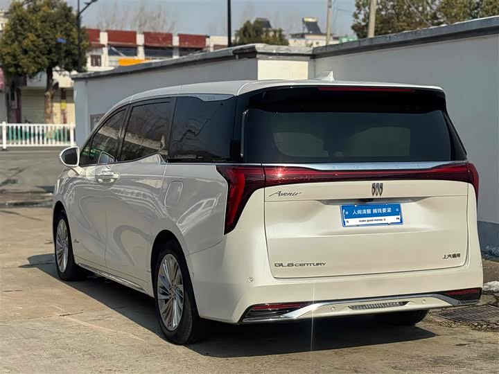 Фото 6 - Buick GL8 Century