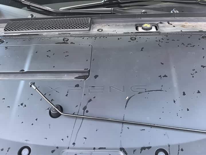 Фото 9 - XPeng F57